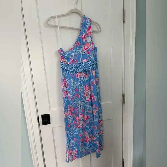 Lilly Pulitzer Blue and Pink Floral Dress - Picture 2 of 5
